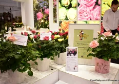 De publieksprijs voor de geurende potrozen van Roses Forever 'Love Fragrance Forever'